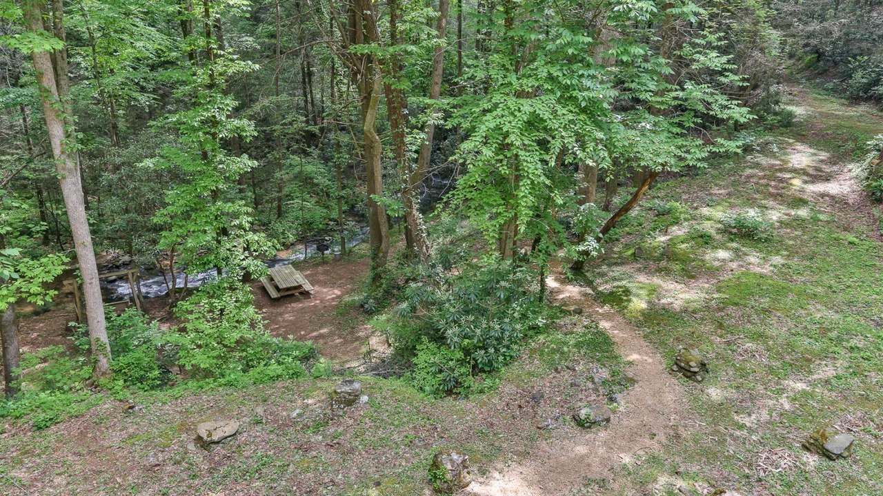 Photo of Others in Ellijay