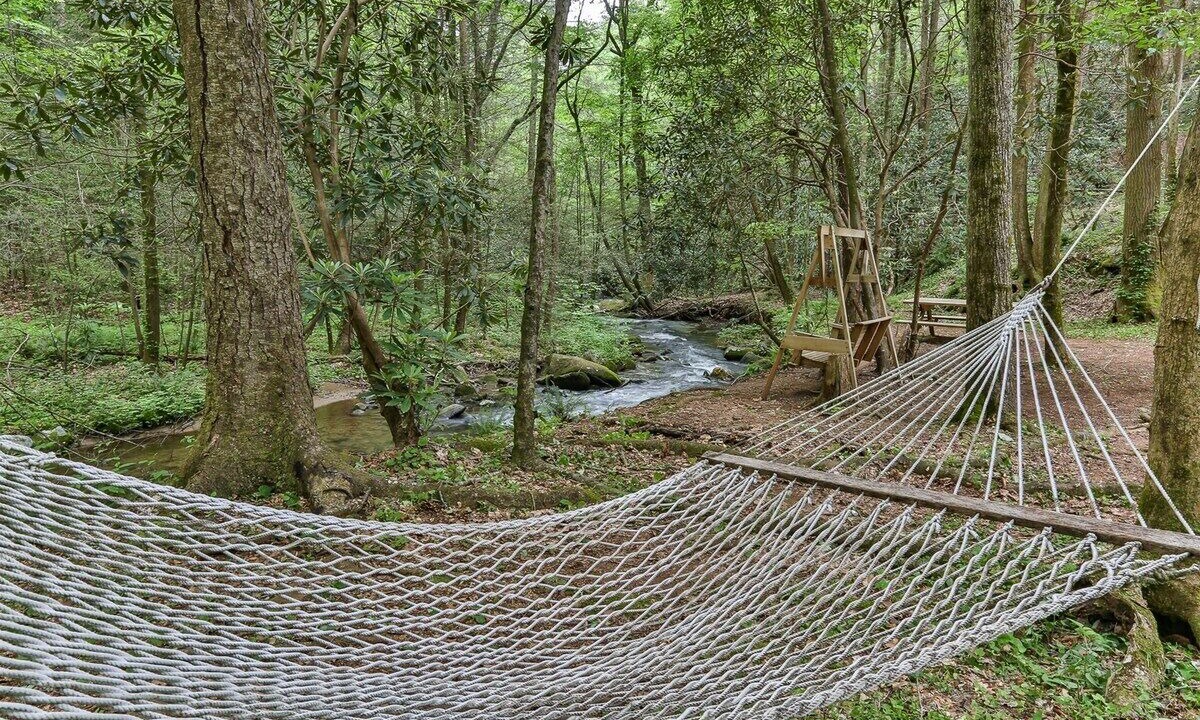 Photo of Others in Ellijay