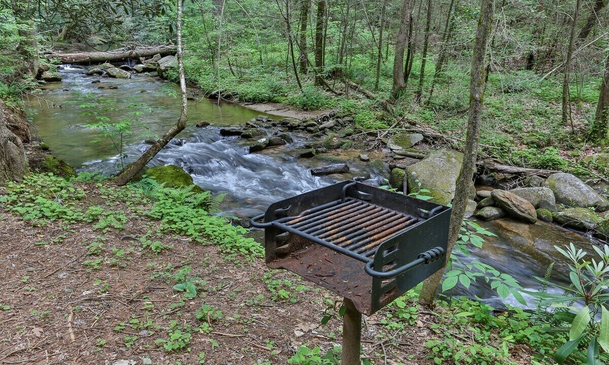 Photo of Others in Ellijay