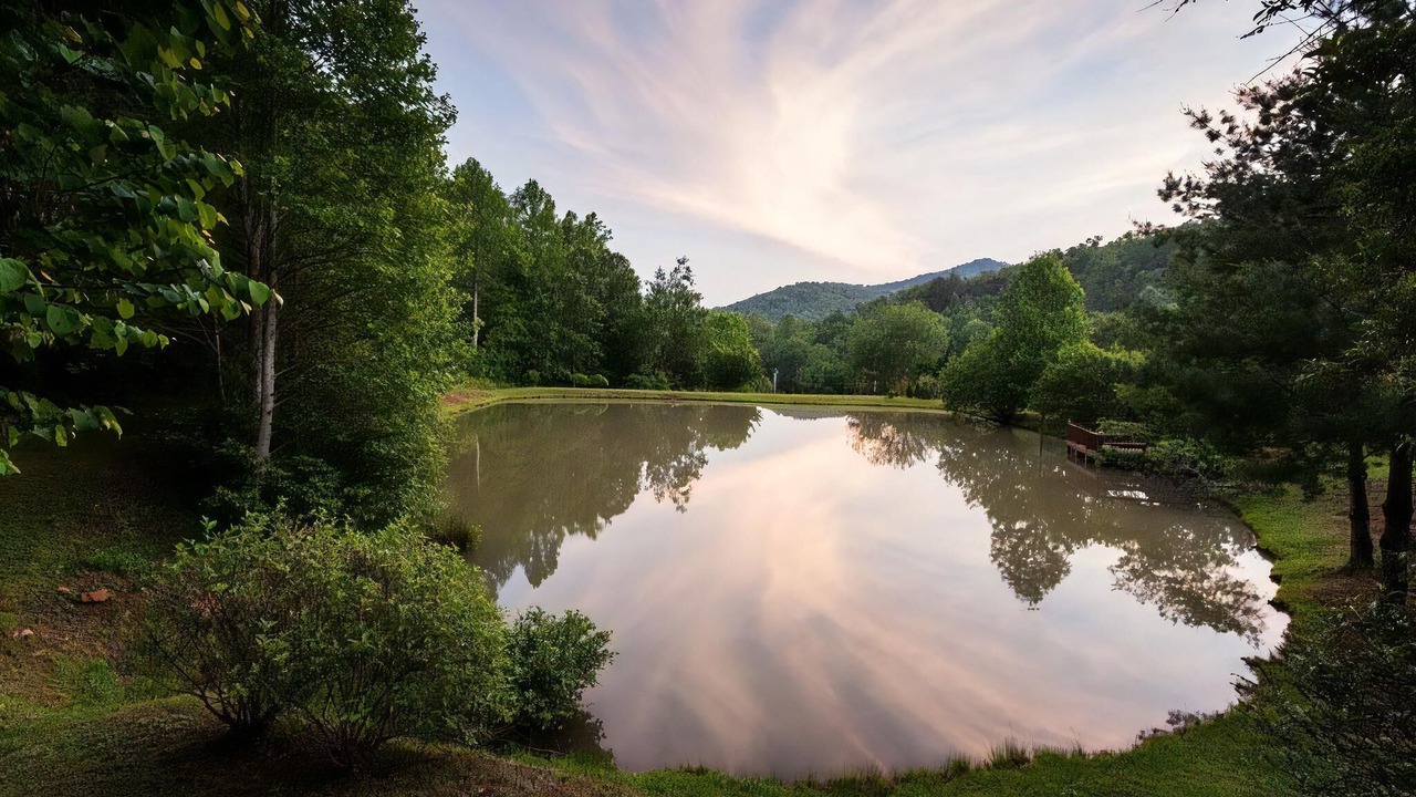 Photo of Others in Blue Ridge