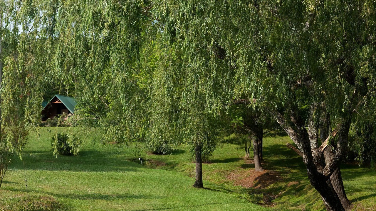 Photo of Others in Blue Ridge
