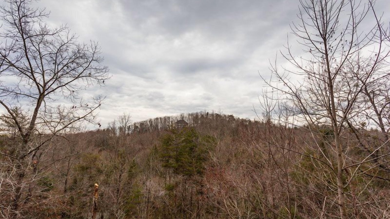 Photo of Others in Ellijay