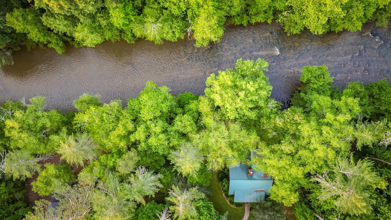 Photo of Others in East Ellijay