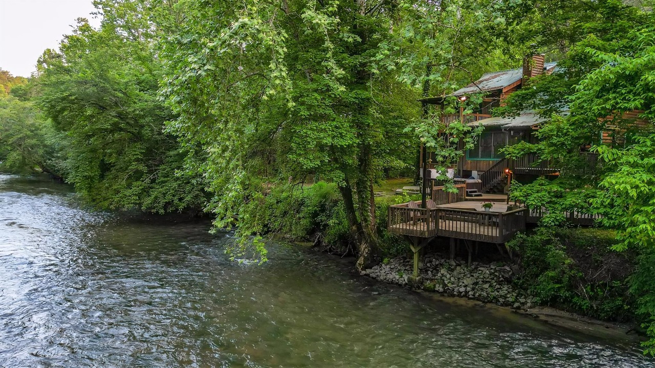 Photo of Others in East Ellijay