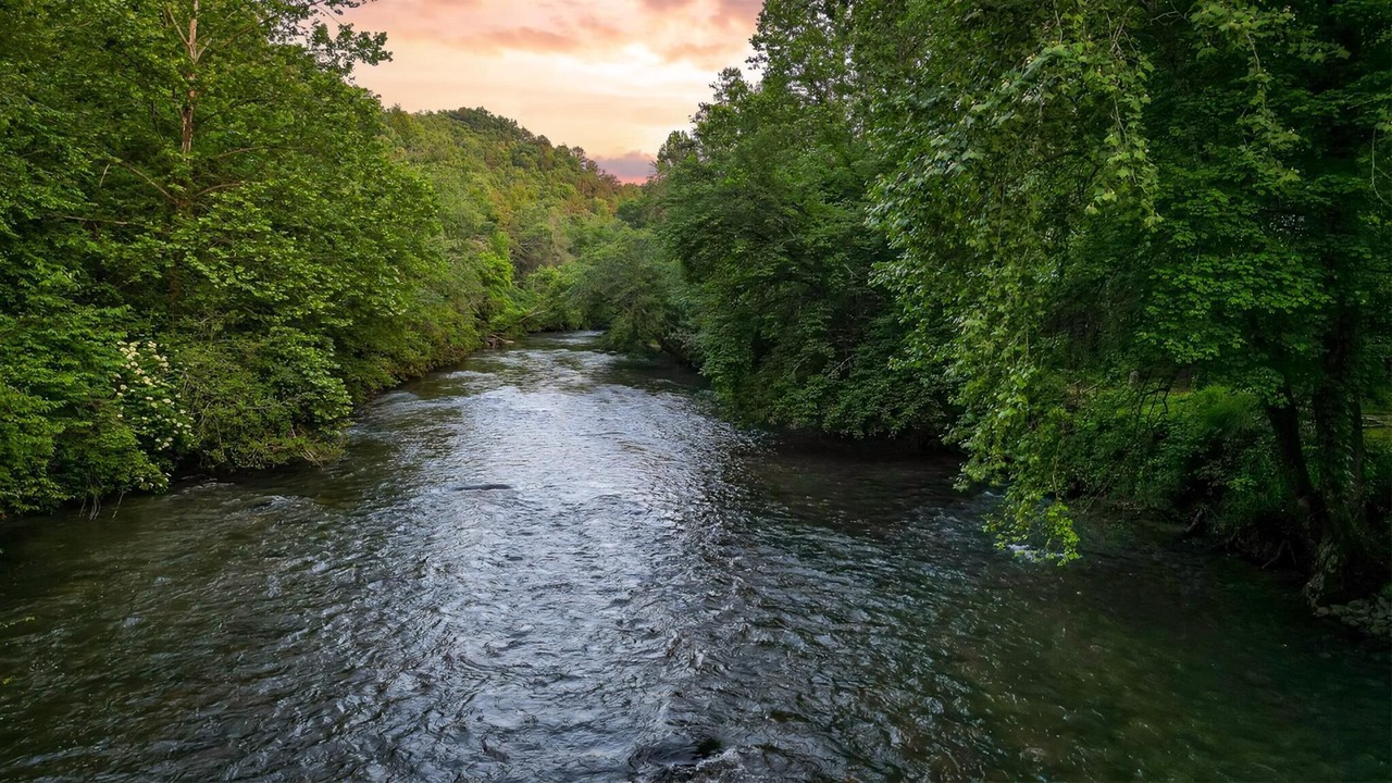 Photo of Others in East Ellijay