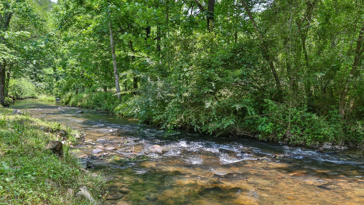 Photo of Others in Ellijay