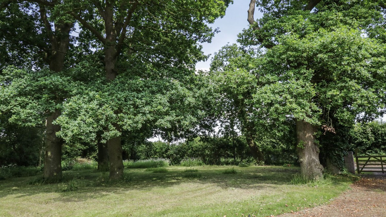 Photo of Outdoor in East Dereham