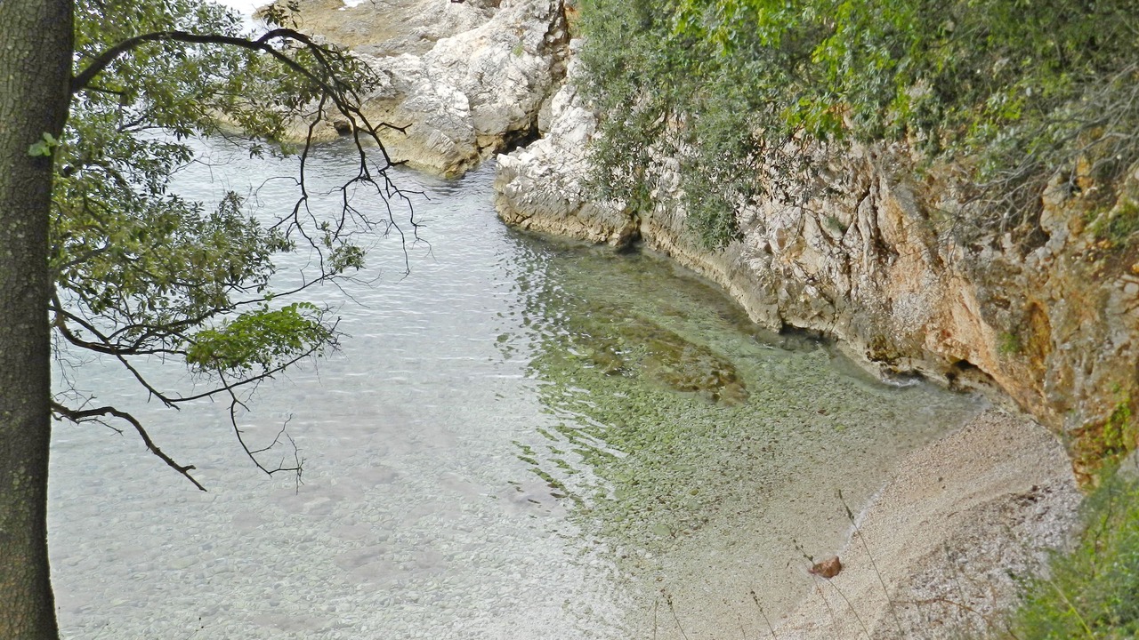 Photo of Others in Gondolici