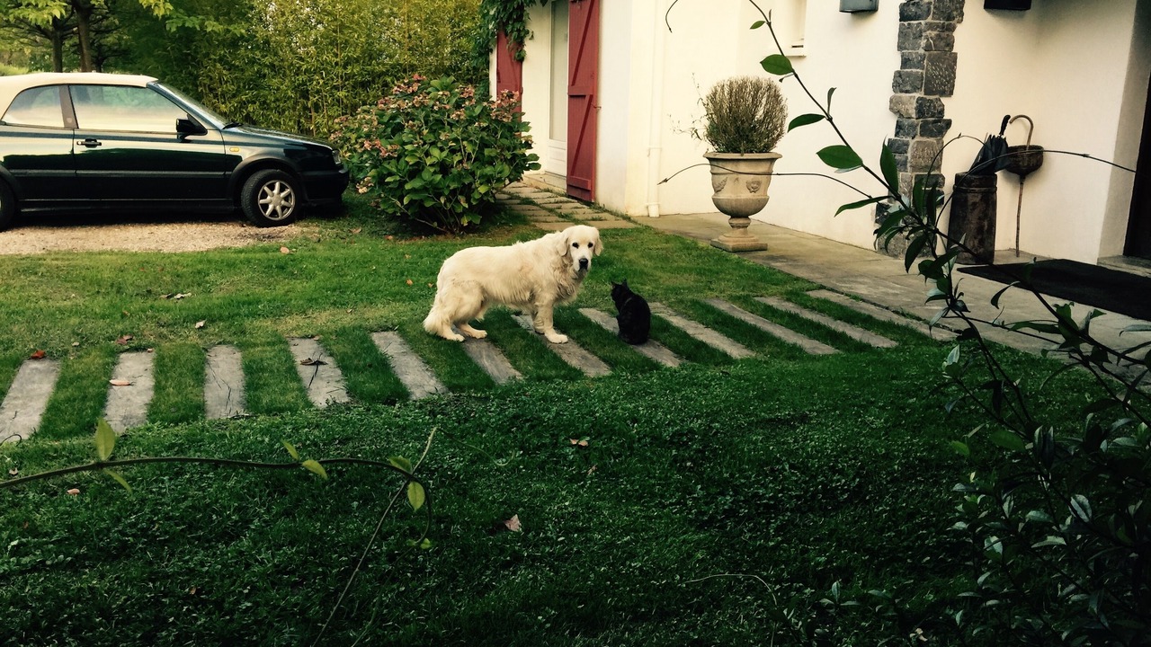 Photo of Outdoor in Arbonne