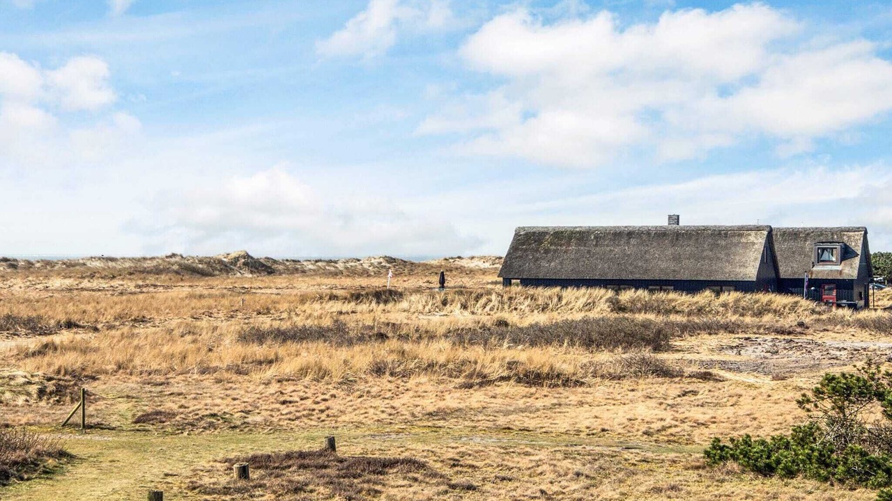 Photo of Others in Blavand Strand