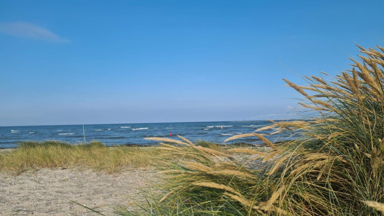 Photo of Others in Saksild Strand