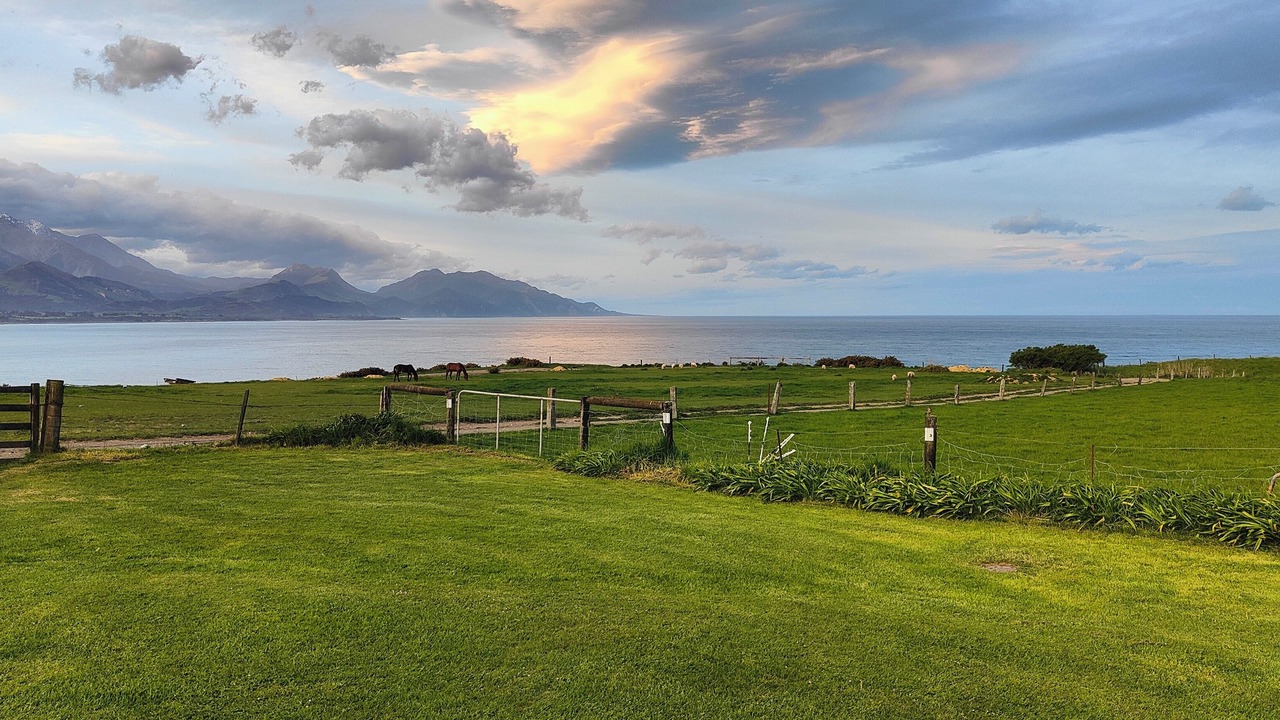 Photo of Others in Kaikoura