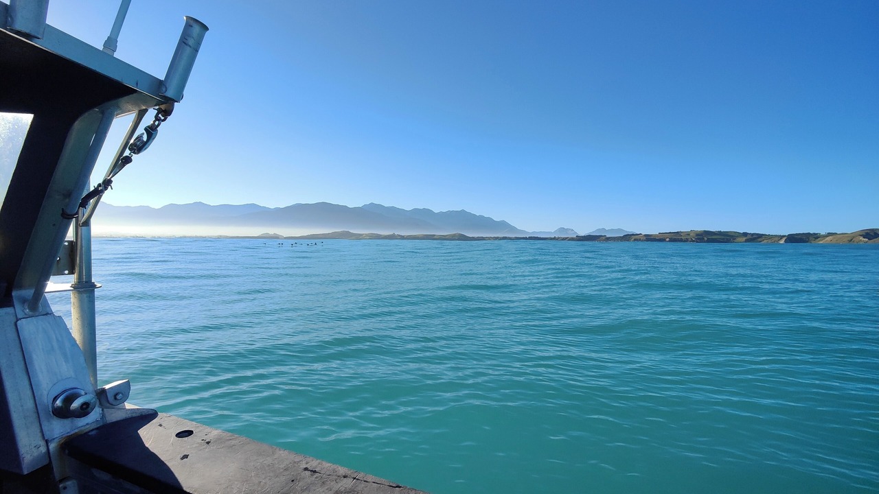 Photo of Others in Kaikoura