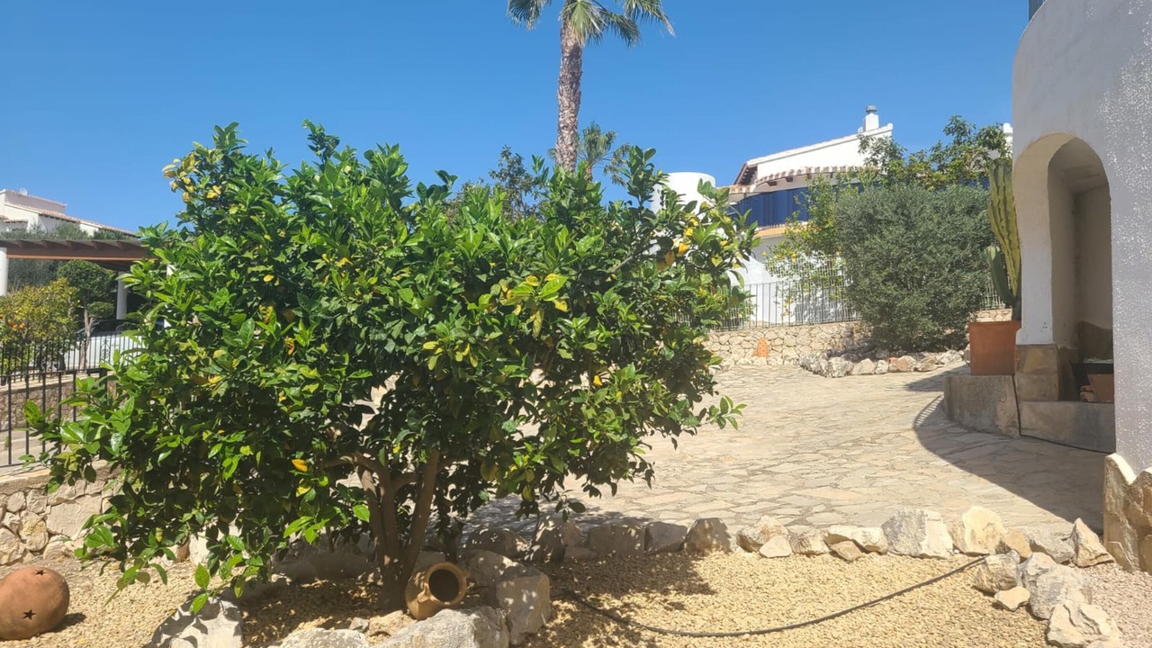Photo of Outdoor in Pego