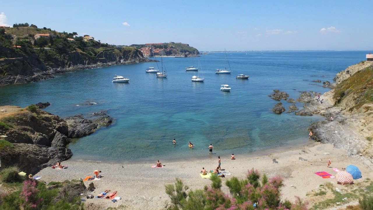 Photo of Others in Collioure