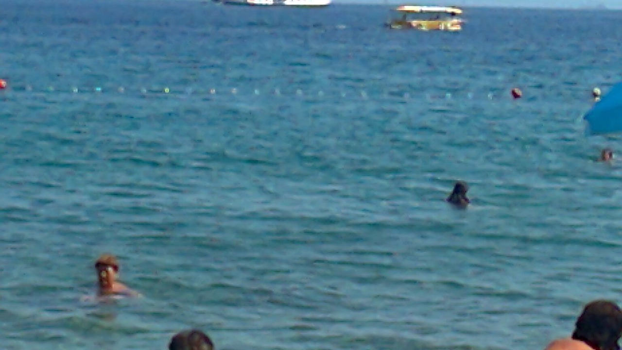 Photo of Others in Jusici