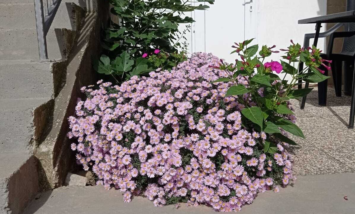 Photo of Outdoor in Jusici