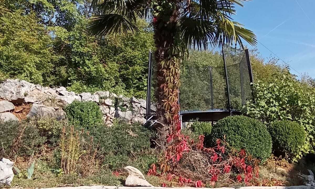 Photo of Outdoor in Jusici