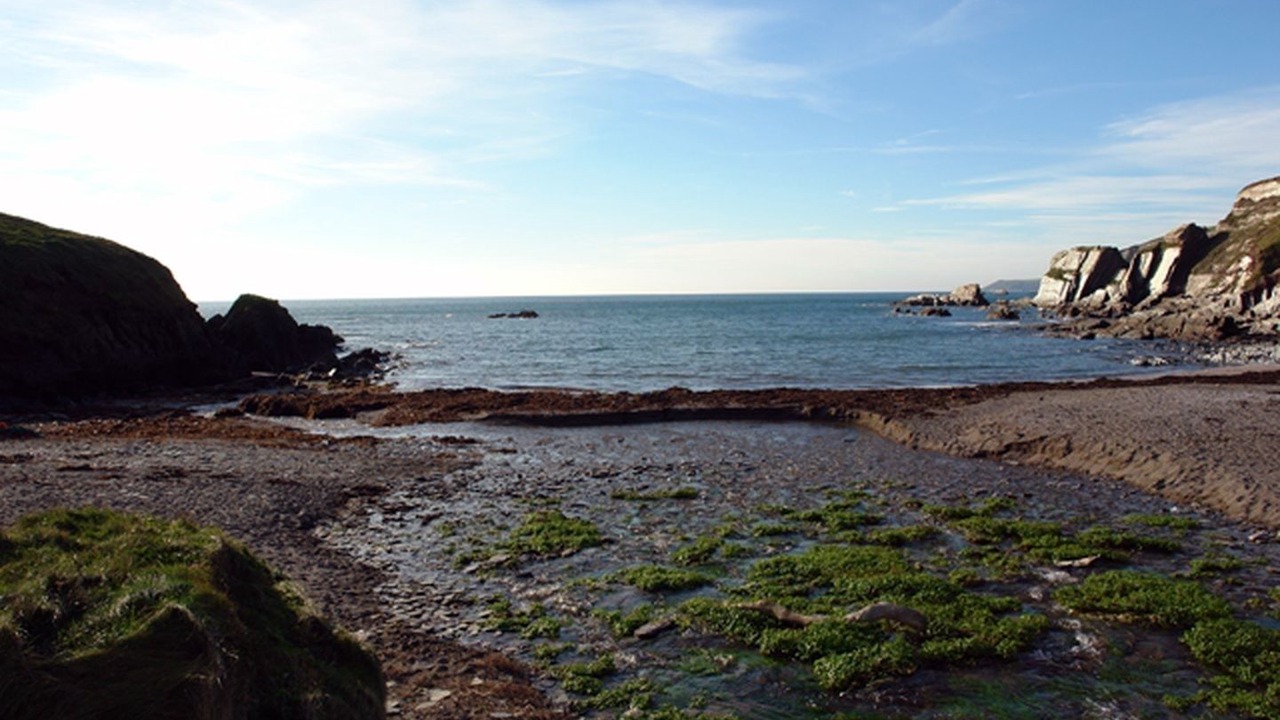 Photo of Others in Ringmore