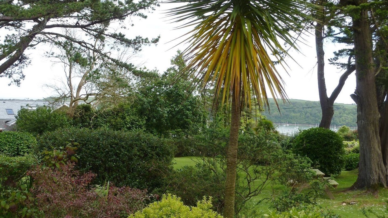 Photo of Others in St. Mawes