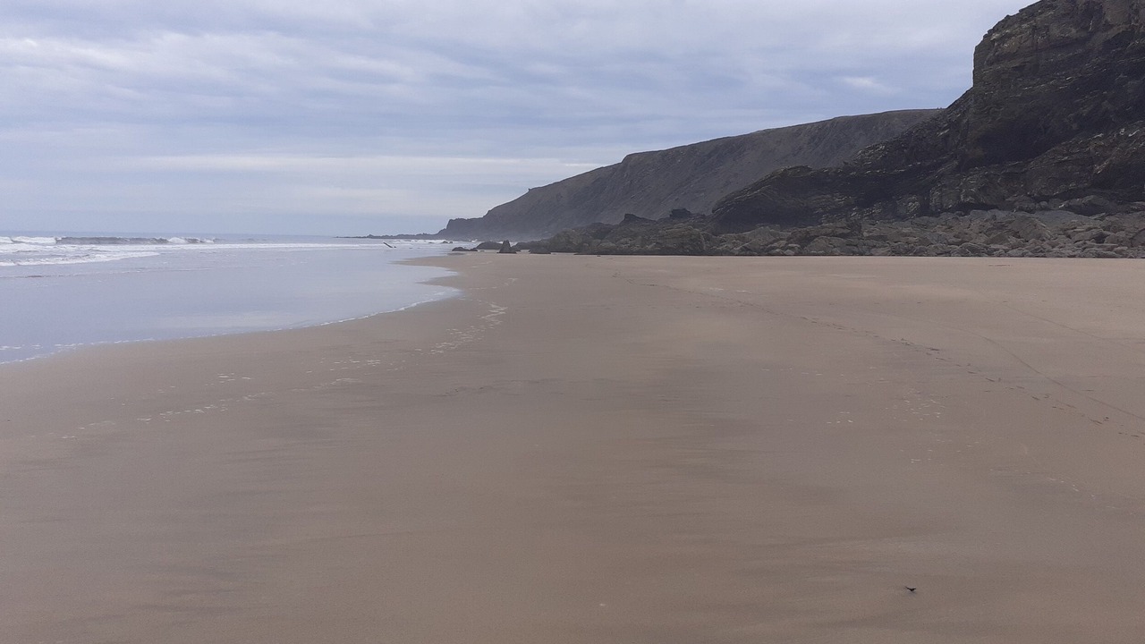Photo of Others in Bude