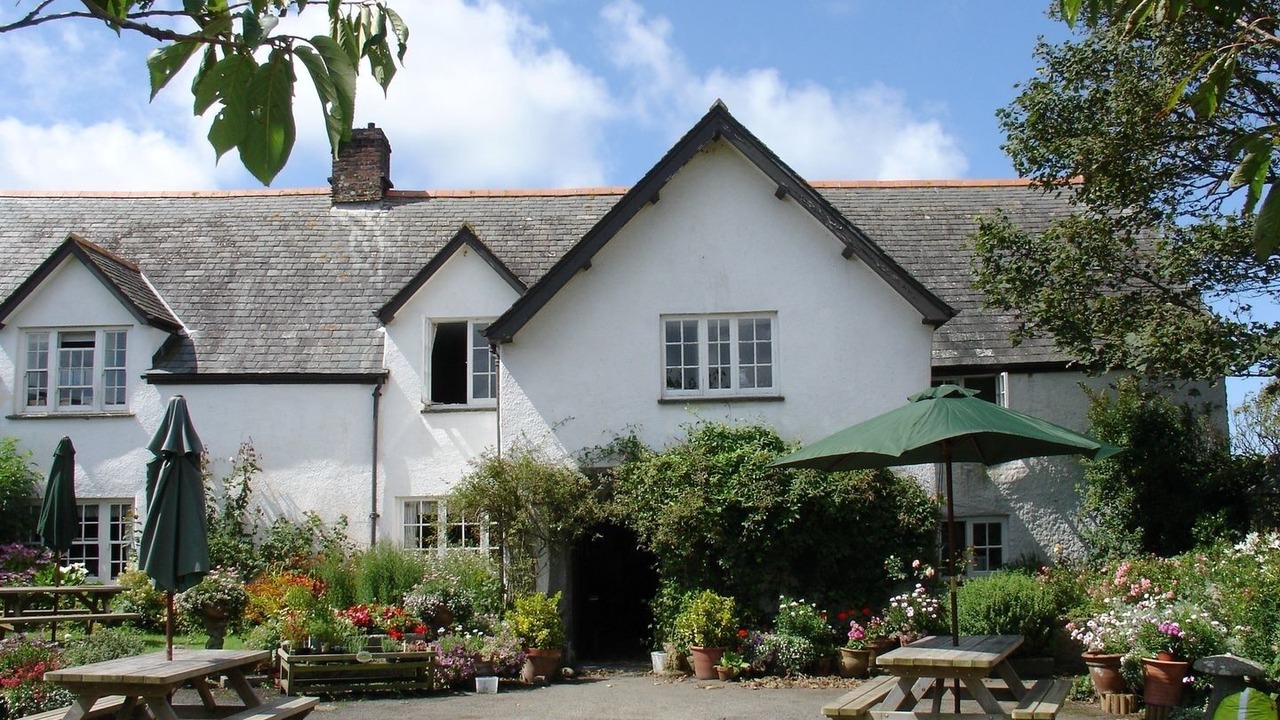 Photo of Others in Bude