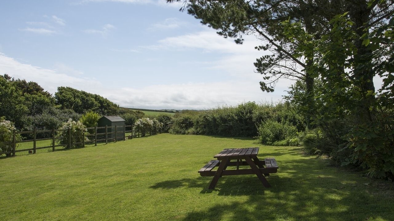 Photo of Others in Bude