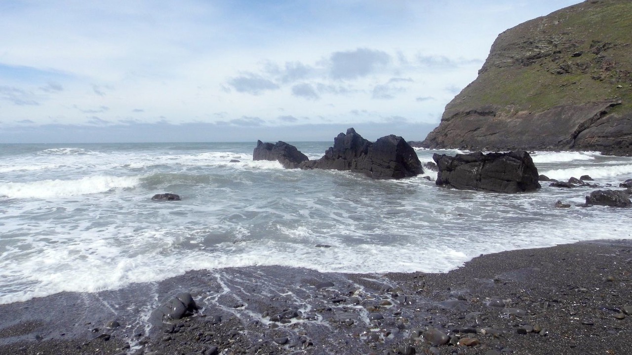 Photo of Others in Bude