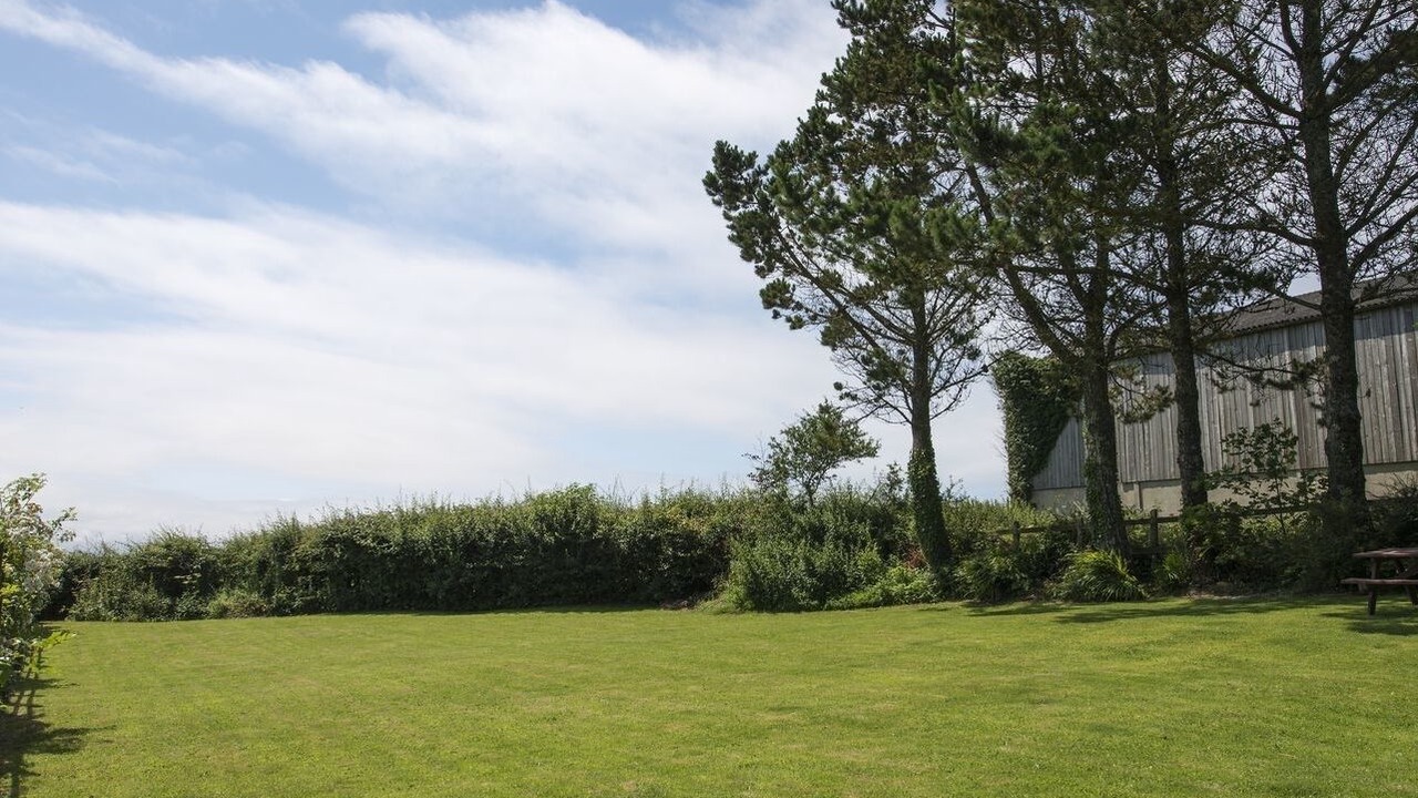 Photo of Others in Bude