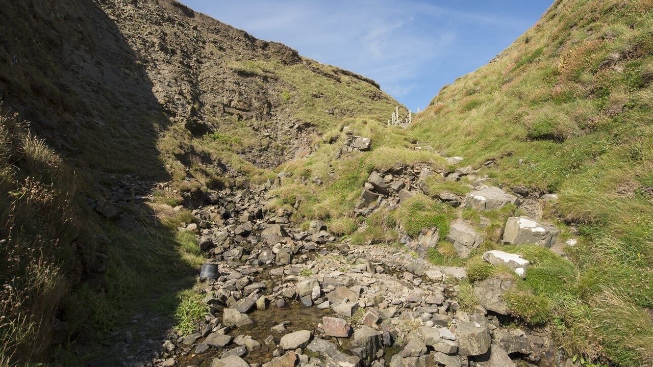 Photo of Others in Bude