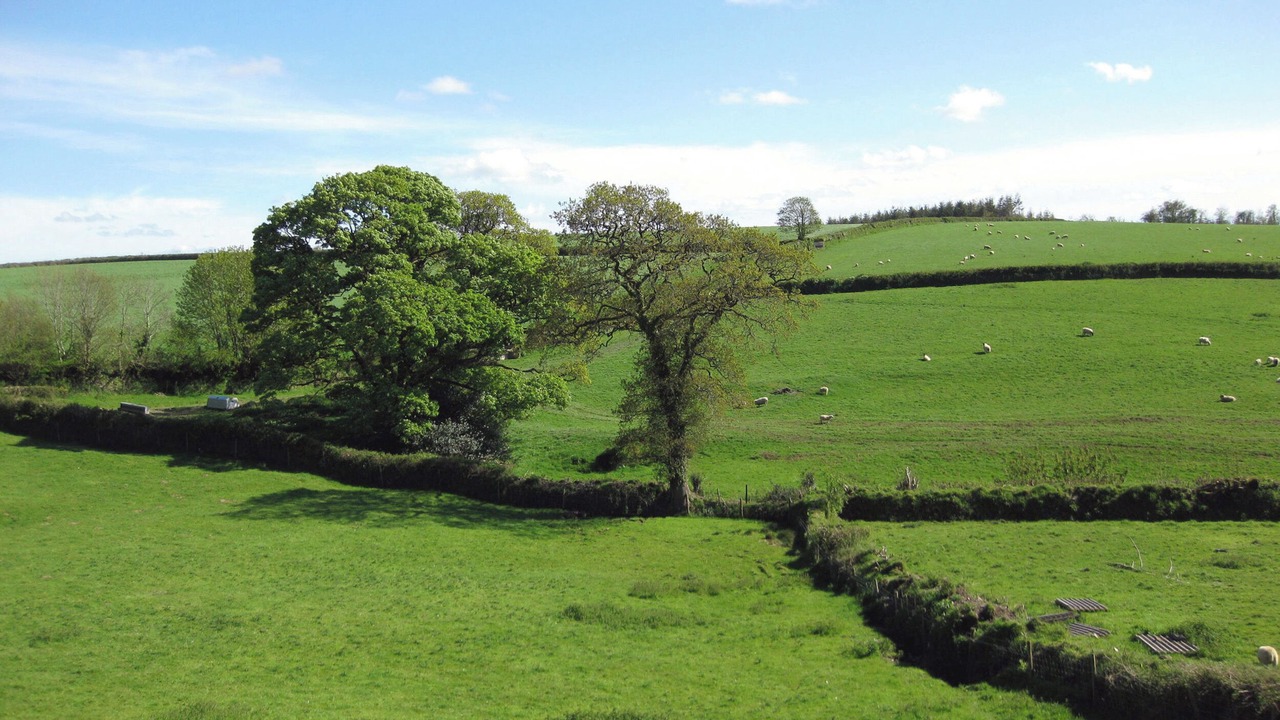 Photo of Others in Liskeard