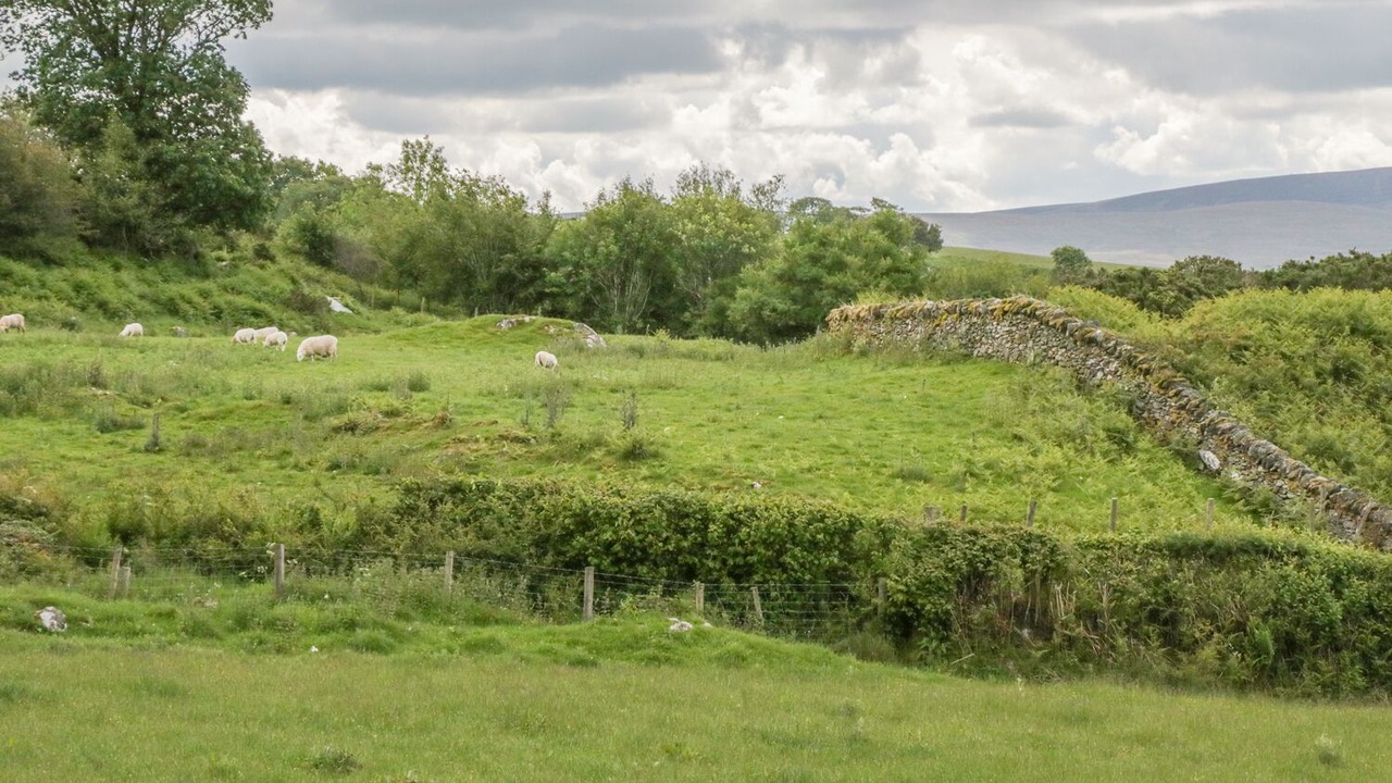 Photo of Others in Capel Garmon