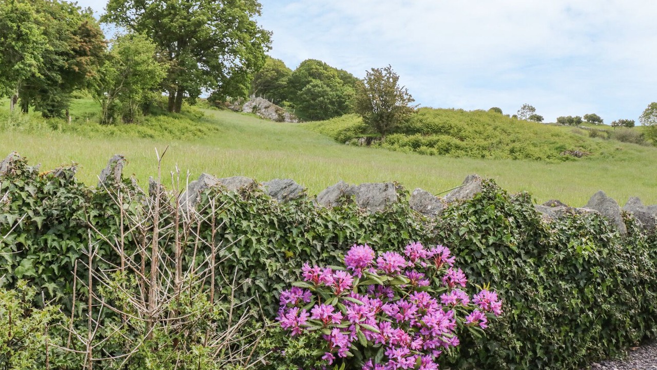 Photo of Others in Capel Garmon