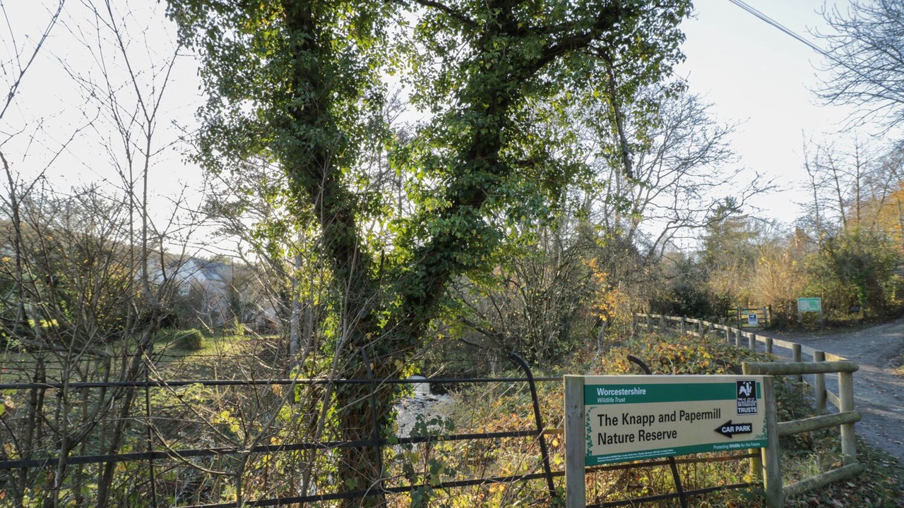 Photo of Outdoor in Broadwas