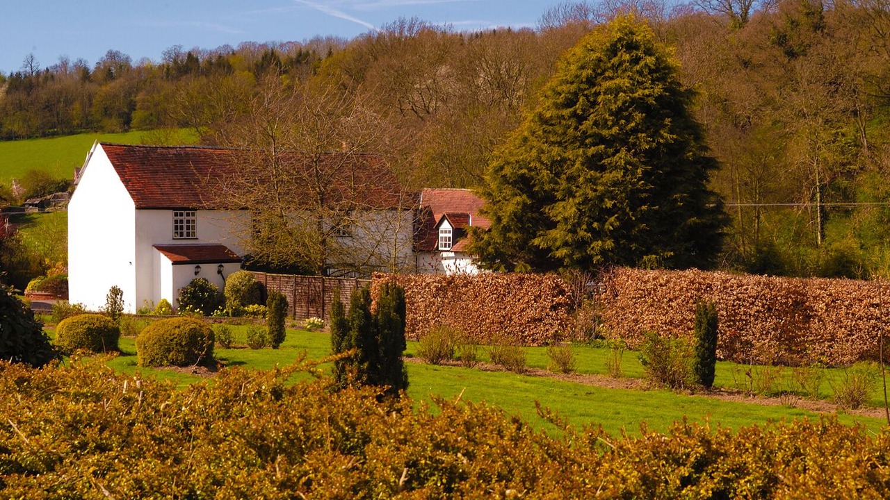 Photo of Others in Broadwas