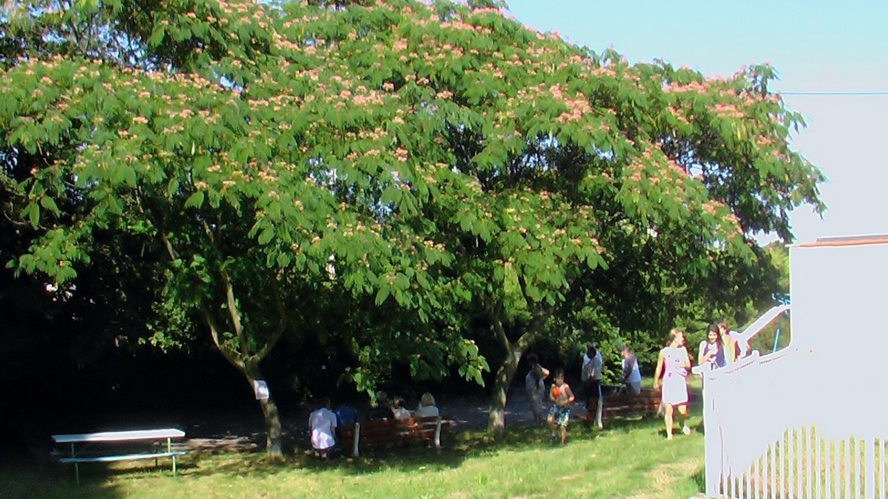 Photo of Outdoor in Capvern