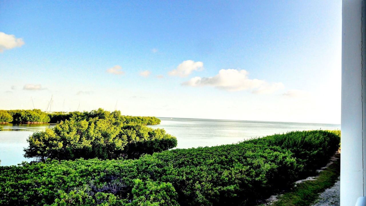 Photo of Others in Key West