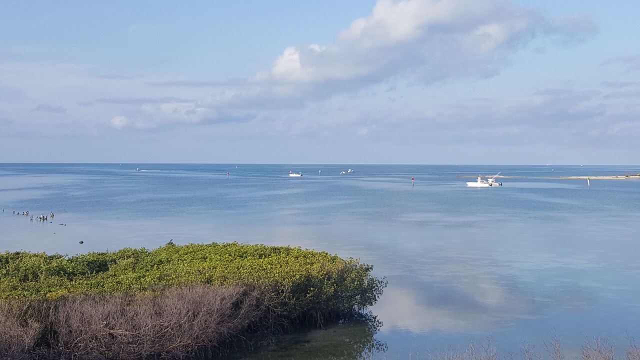 Photo of Others in Key West