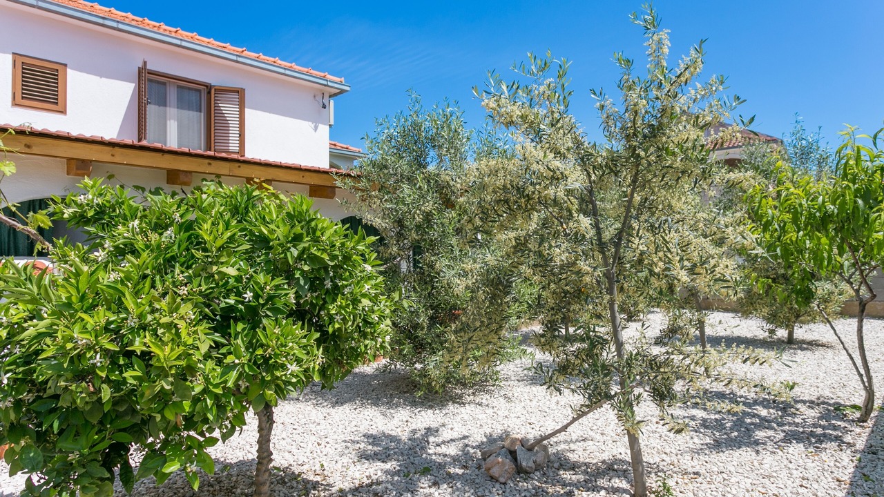 Photo of Outdoor in Mirce