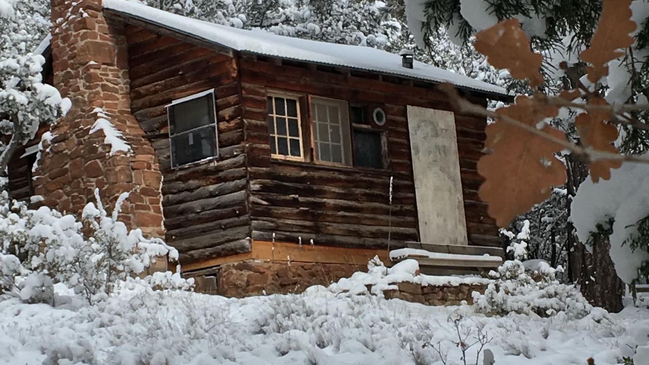 Photo of Outdoor in Cedar Crest