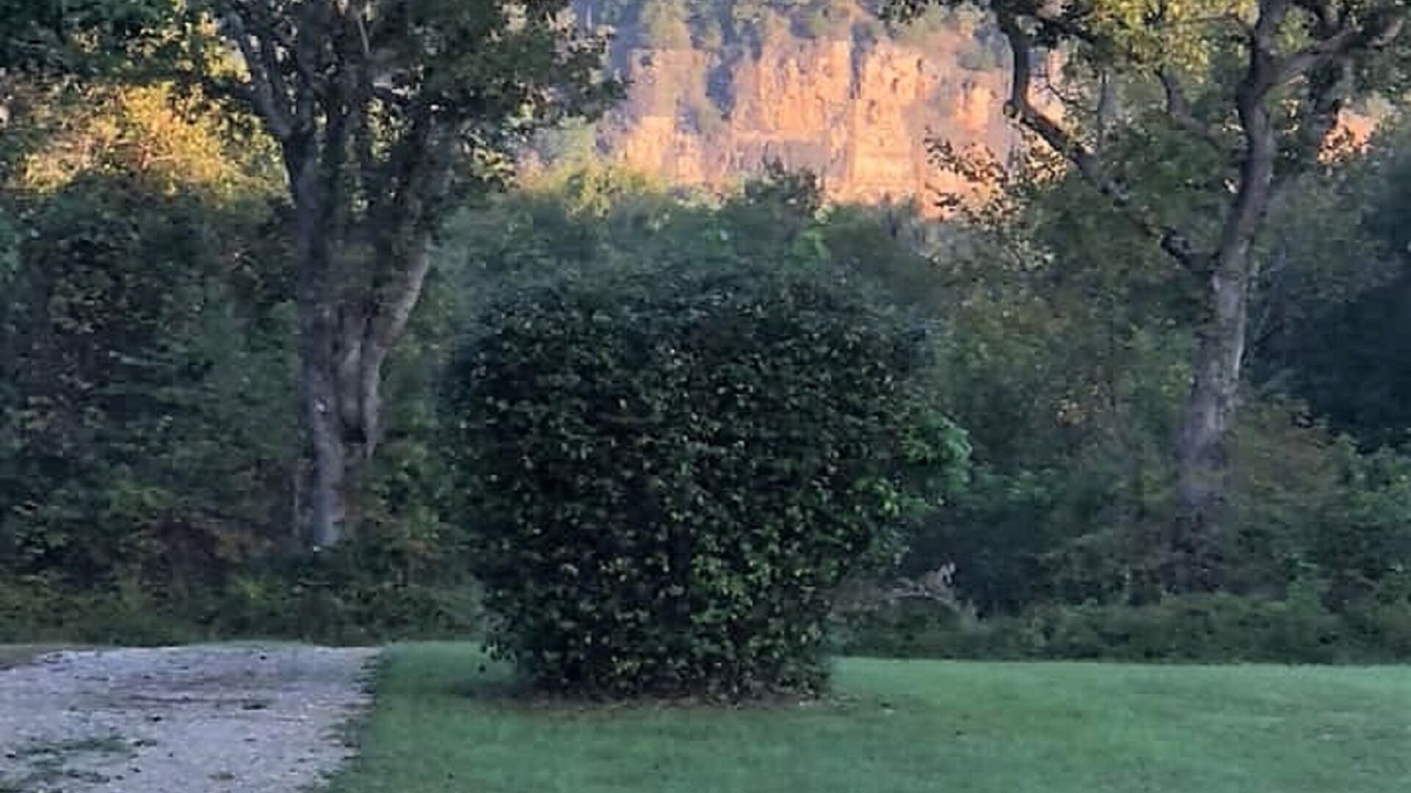 Photo of Outdoor in Devils Elbow