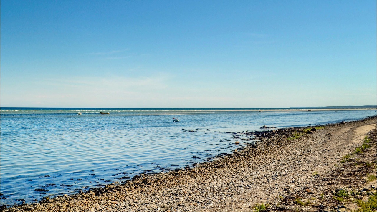 Photo of Others in Allingabro