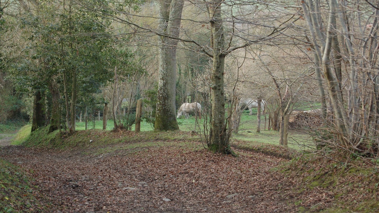 Photo of Outdoor in Menil-Hubert-sur-Orne