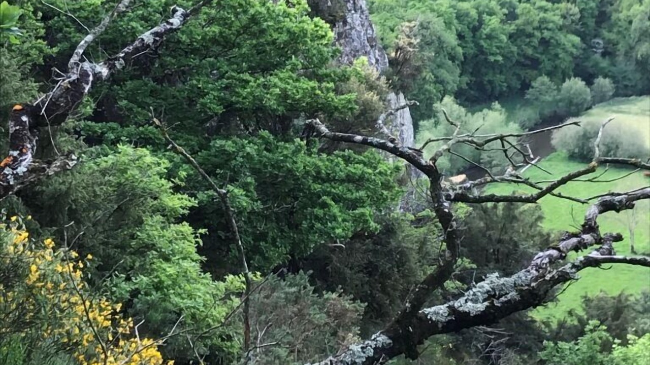 Photo of Outdoor in Menil-Hubert-sur-Orne