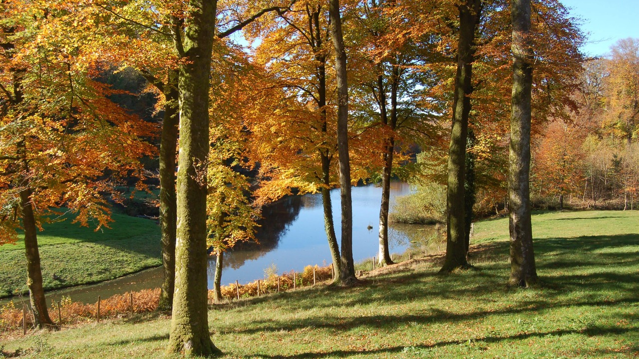 Photo of Outdoor in Menil-Hubert-sur-Orne
