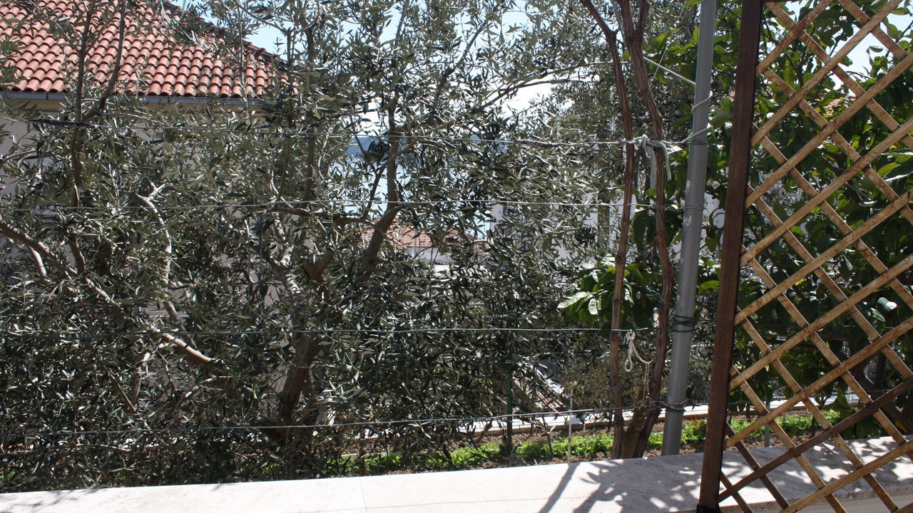 Photo of Outdoor in Seget Donji