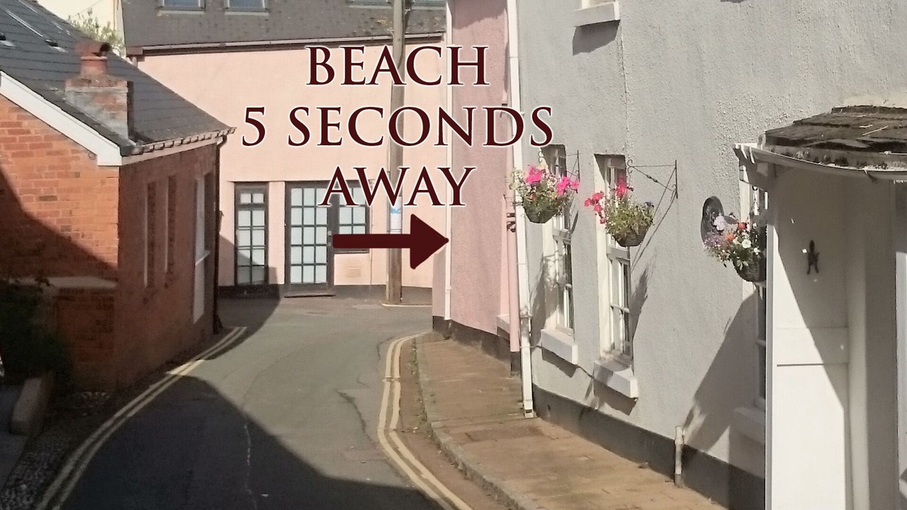 Photo of Others in Shaldon