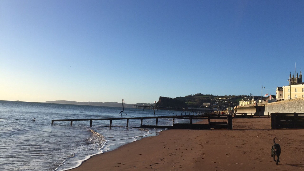 Photo of Others in Shaldon