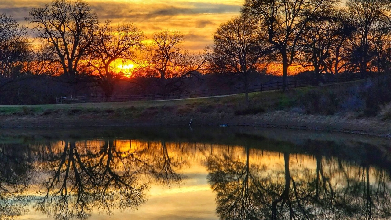 Photo of Others in Waco