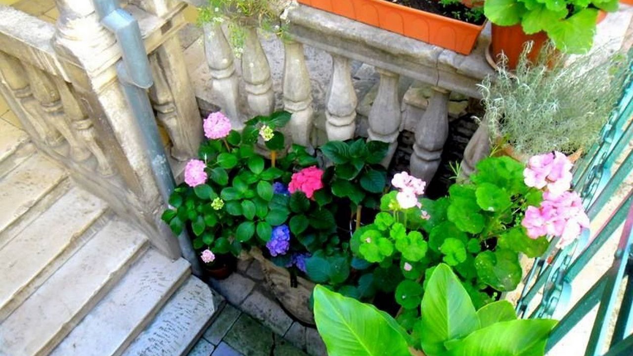 Photo of Outdoor in Sibenik Old Town